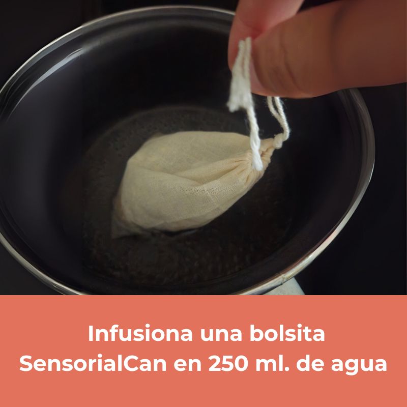 Ritual Natural para Perros – Calma, Hidratación y Conexión