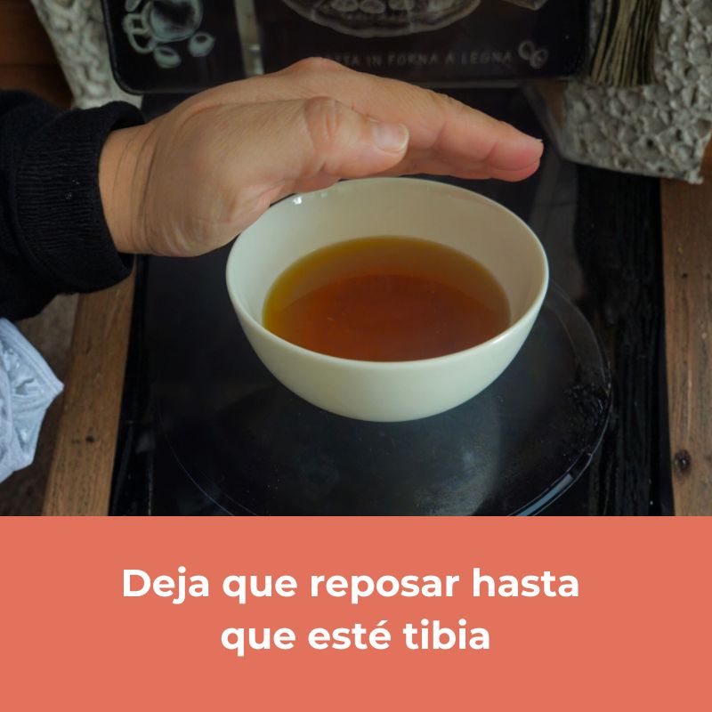 Ritual Natural para Perros – Calma, Hidratación y Conexión